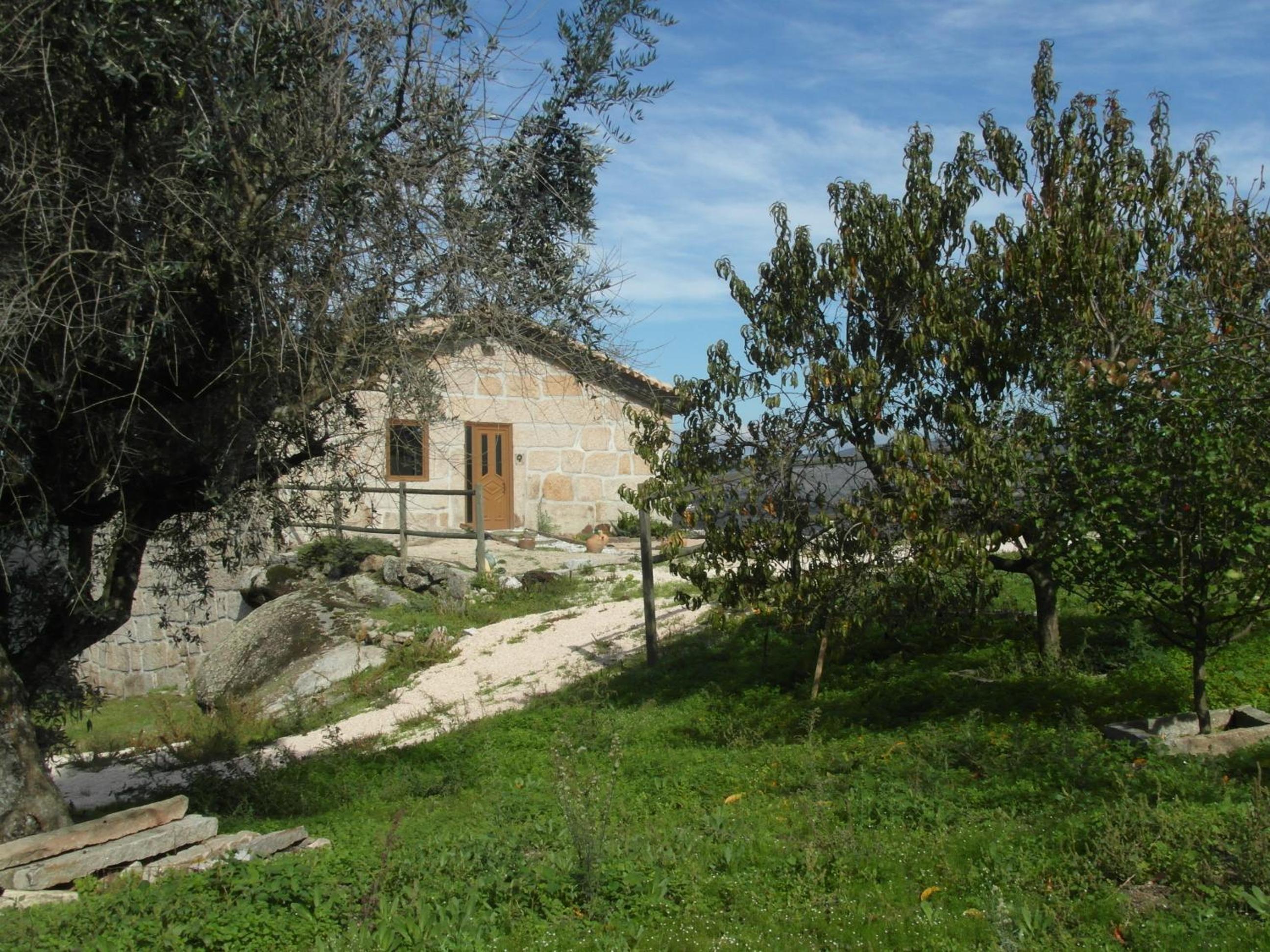 Photo 45