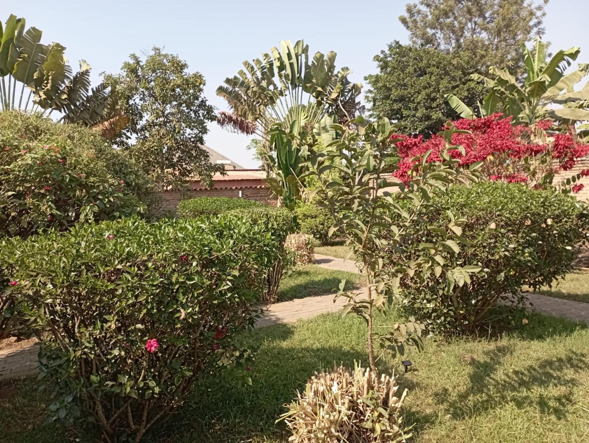 Bird Hacienda view 3