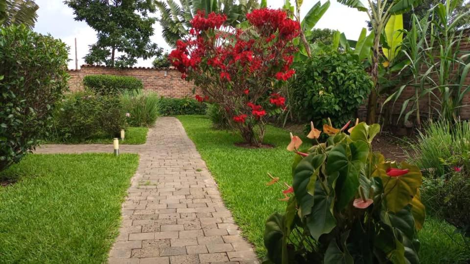 Bird Hacienda view 4