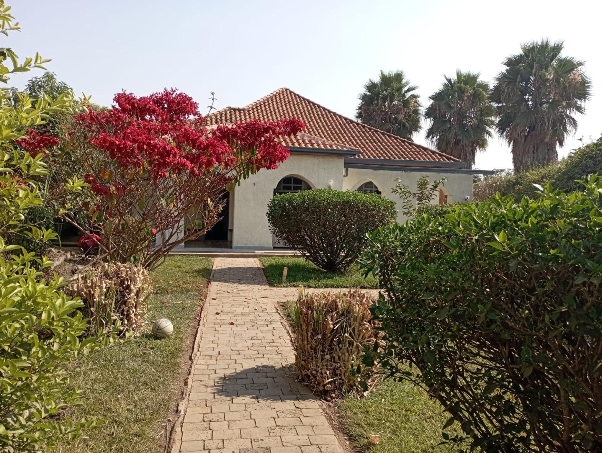 Bird Hacienda view 5