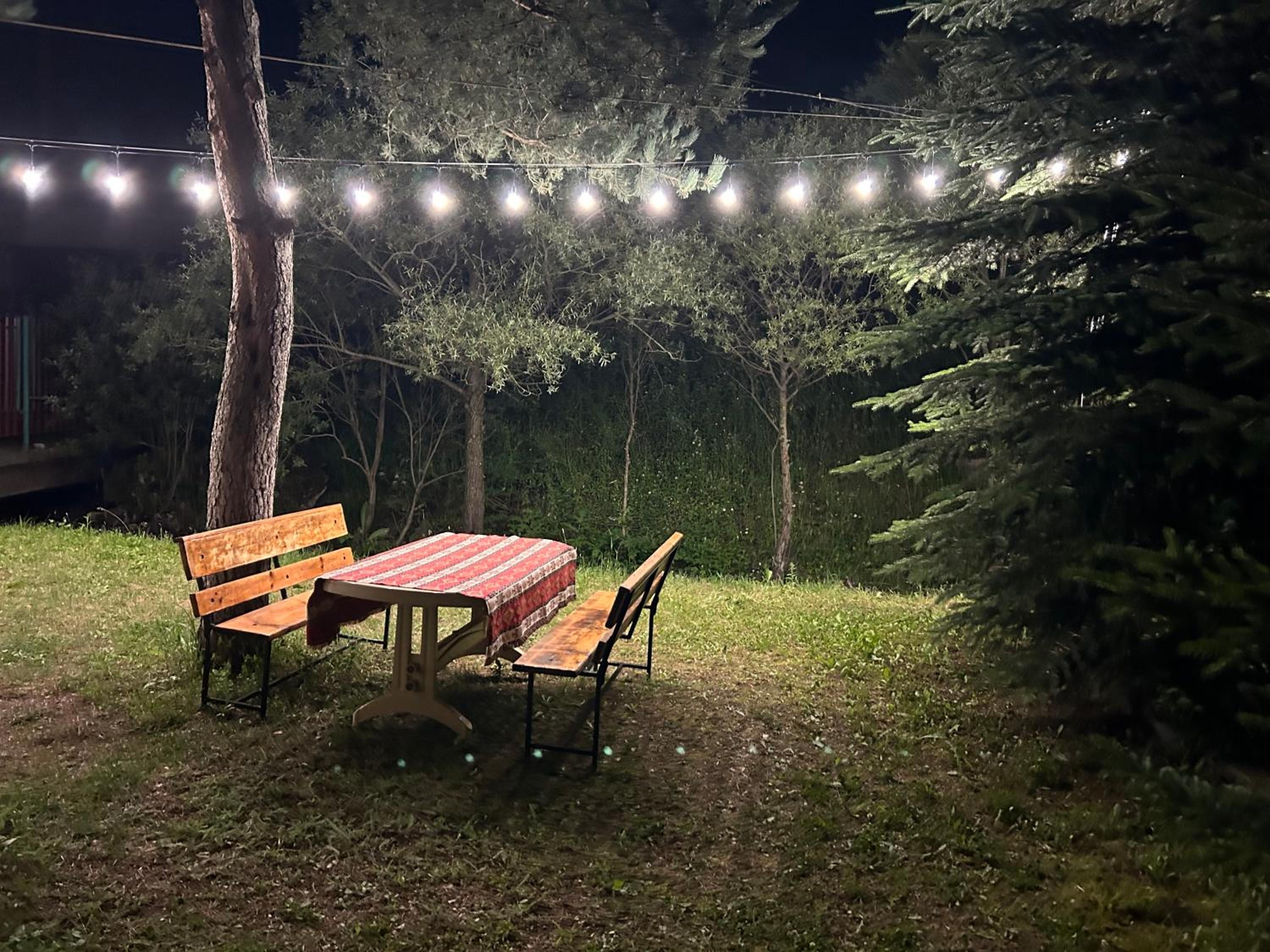 TTU JUR Resort
