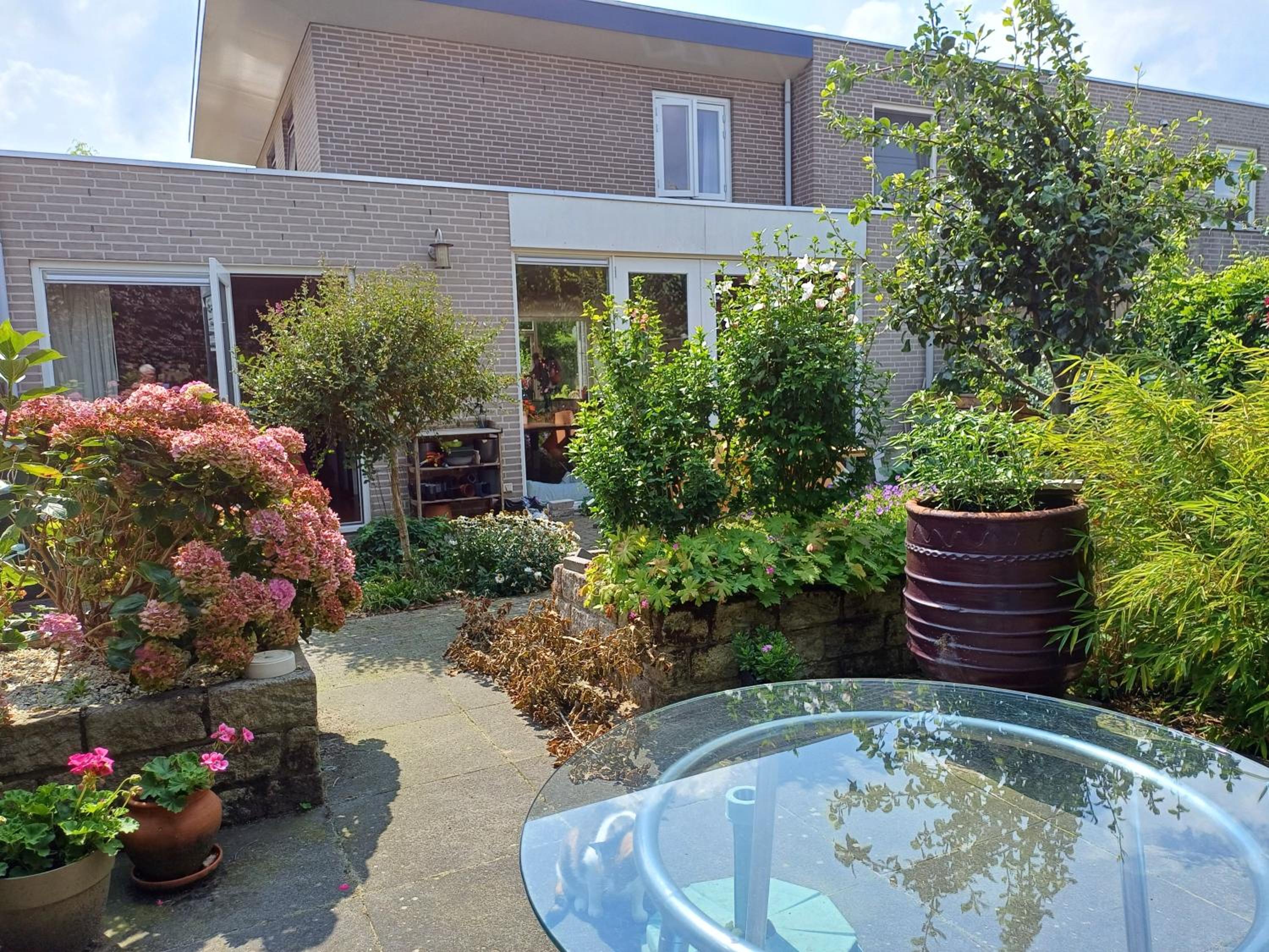 Photo 11