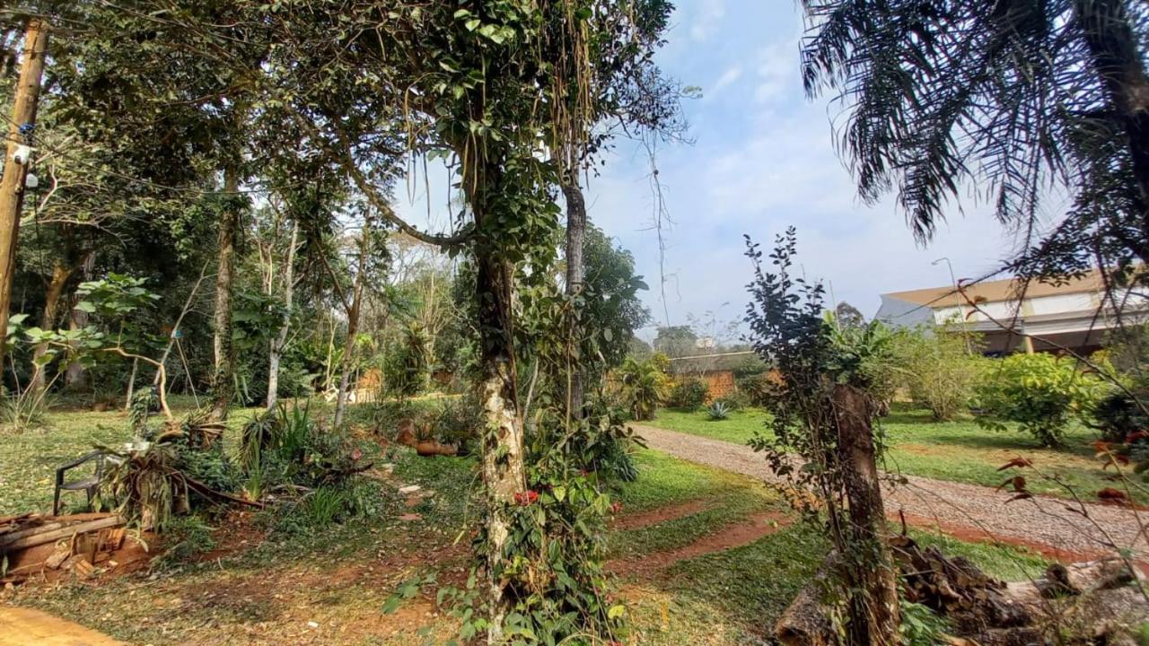 Los Árboles