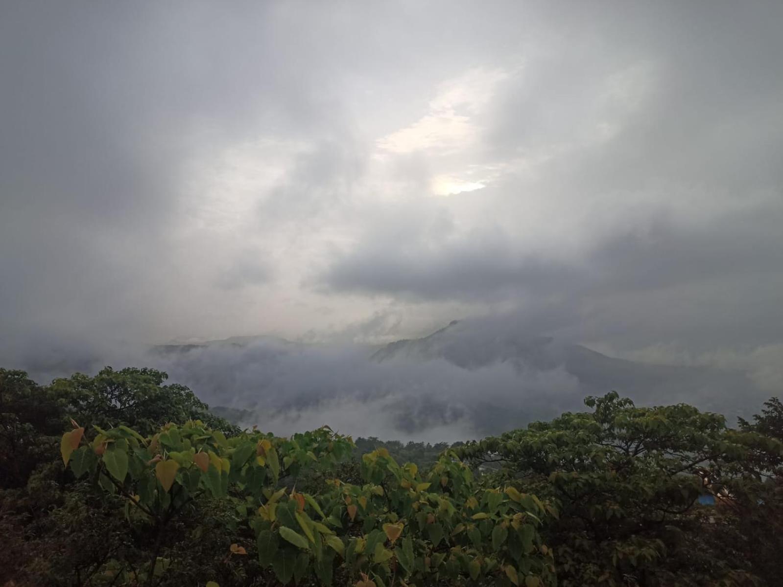 Photo 25