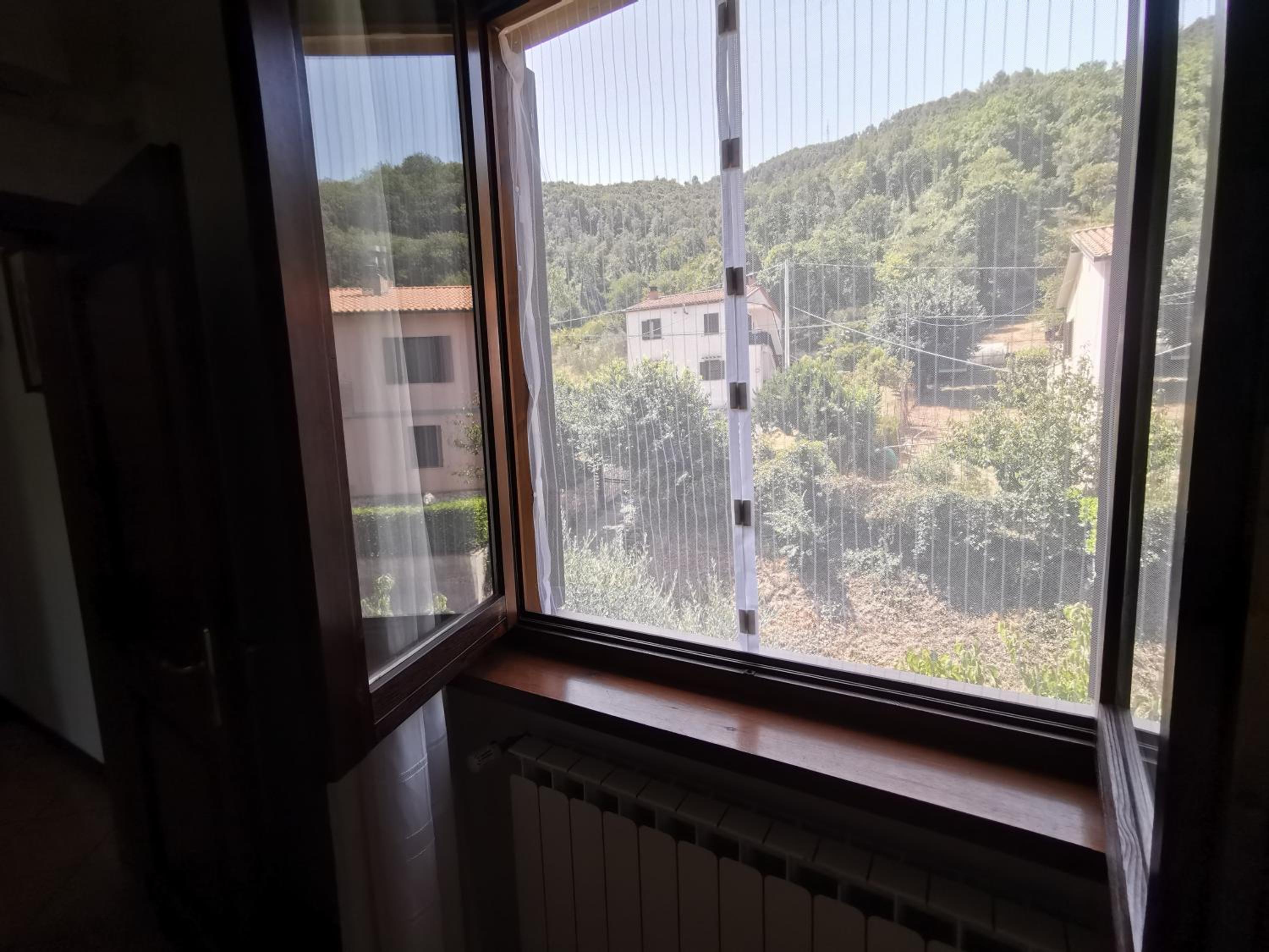 Vacanza nel boschetto view 4