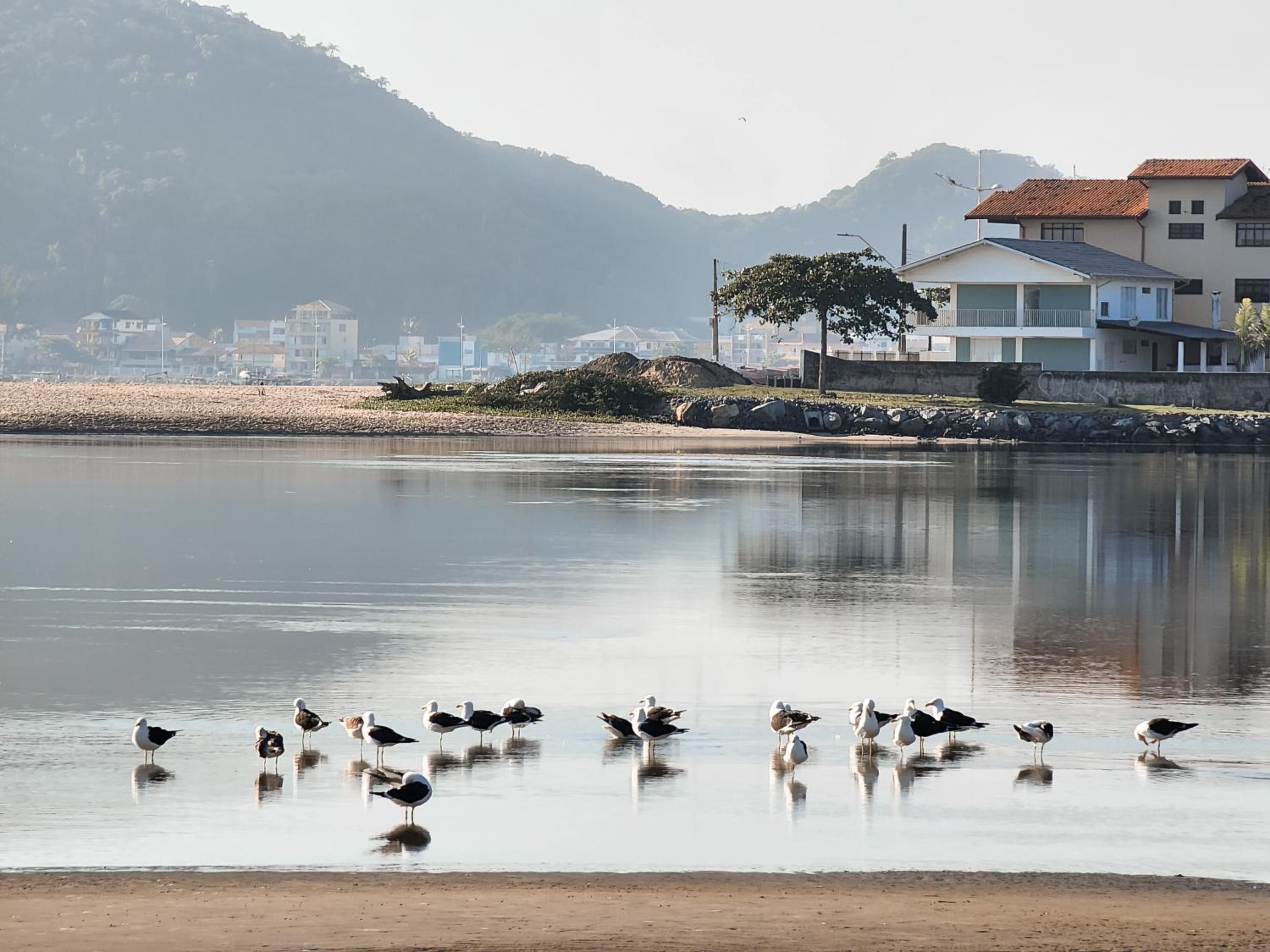 Apt confortável a 350 metros do mar HA0964