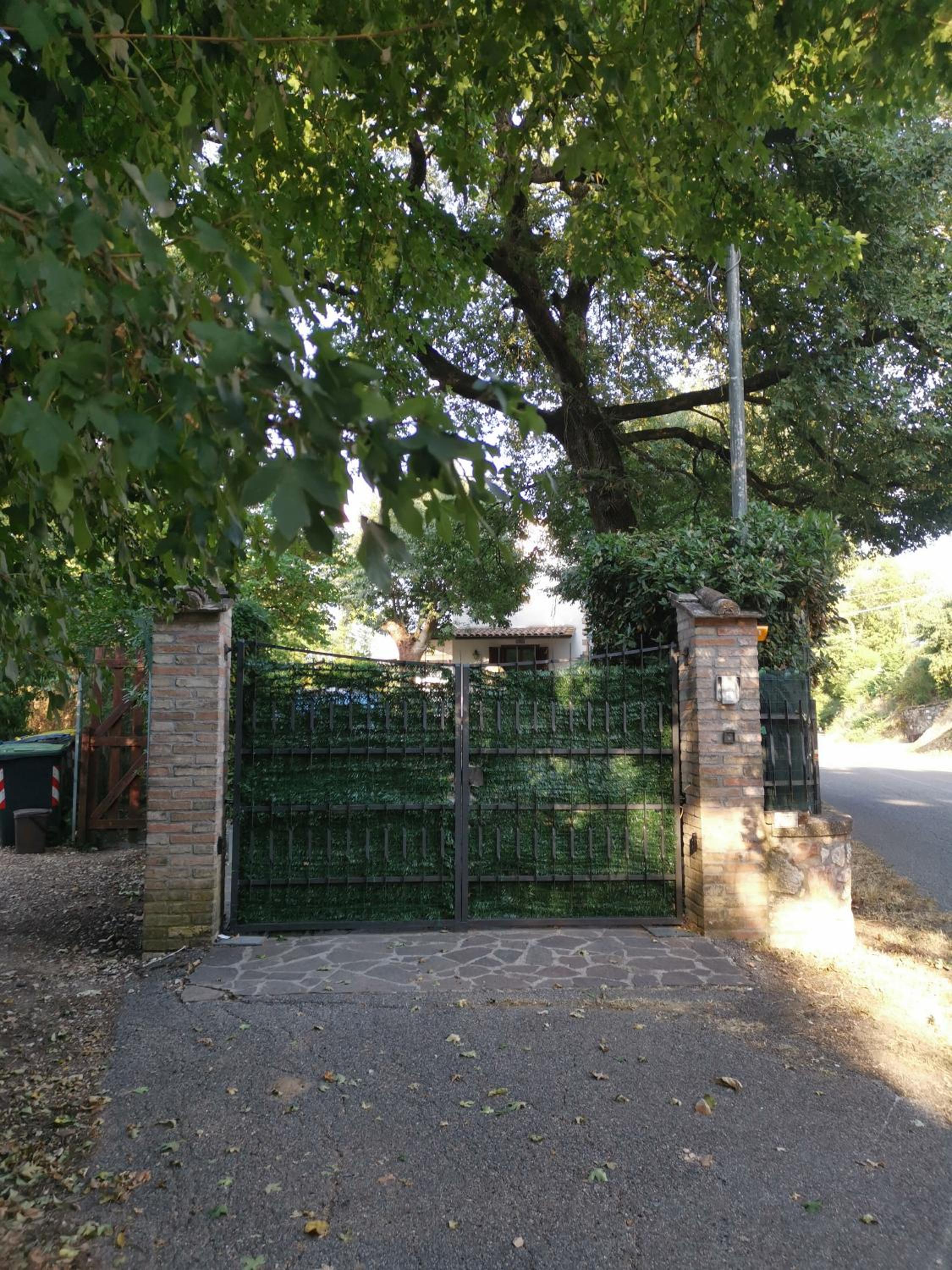 Photo 39