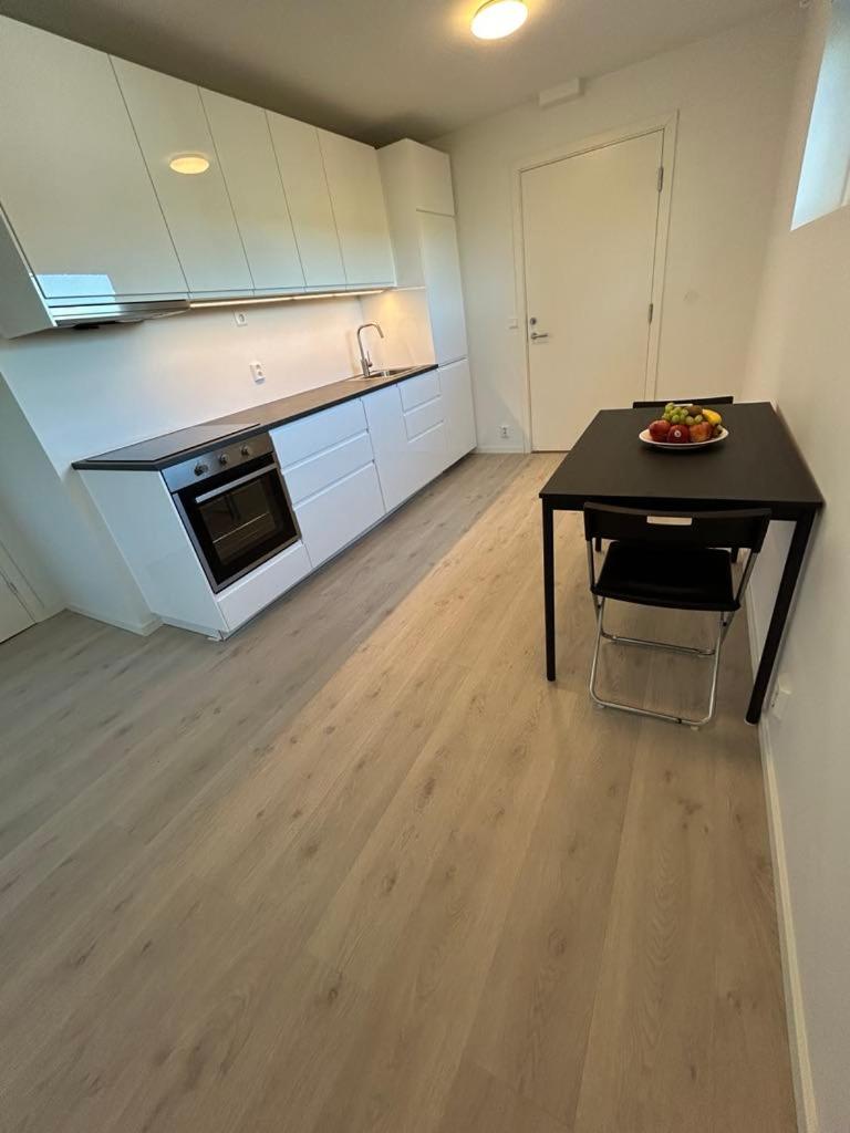 Temis apartment, private new 1 bed room and 1 living room with sofa bed and lagre kitchen, share with nobody NO PARTIES view 2
