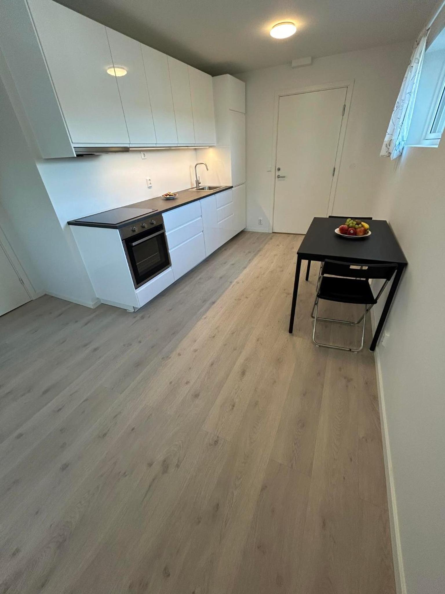 Temis apartment, private new 1 bed room and 1 living room with sofa bed and lagre kitchen, share with nobody NO PARTIES view 3