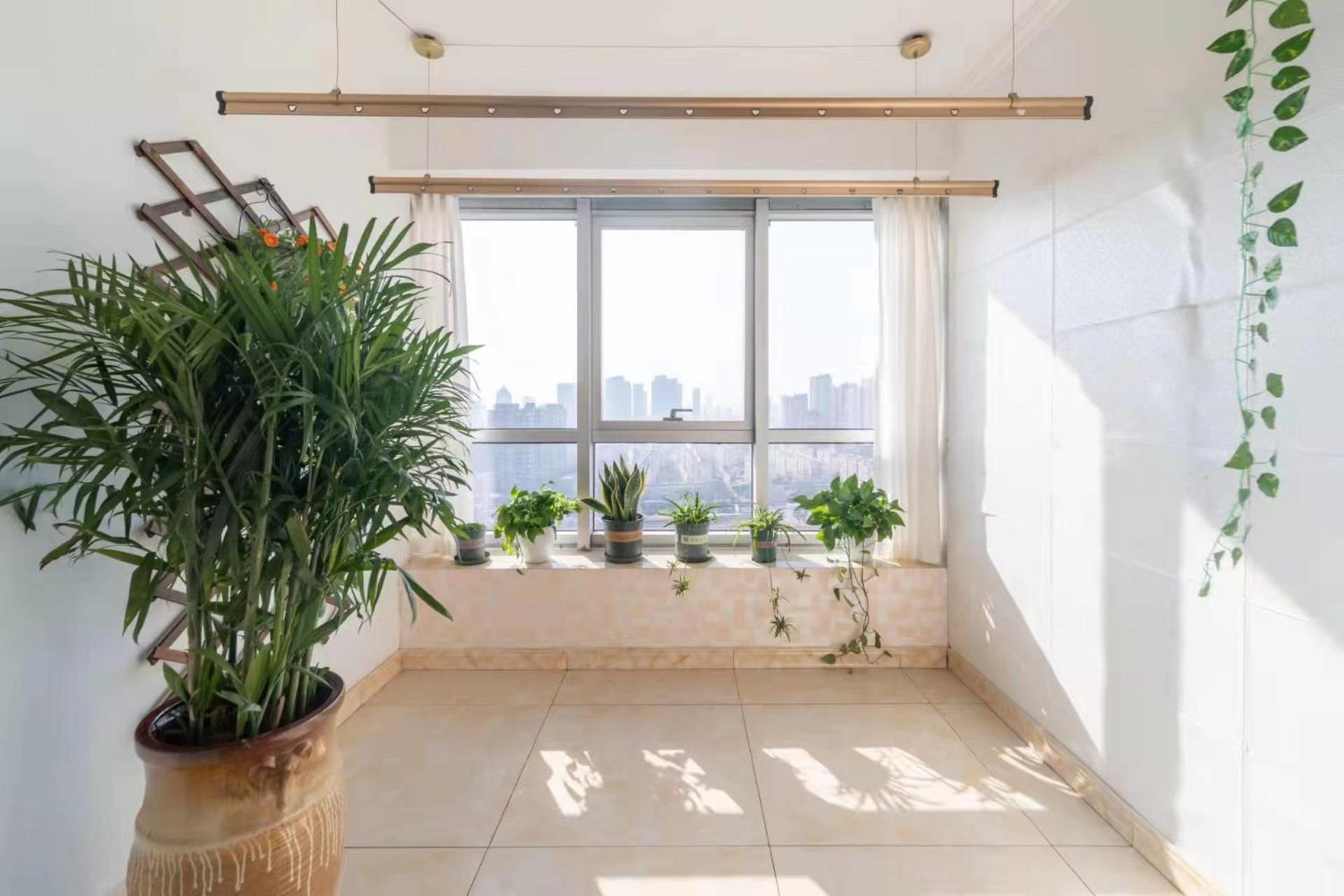 Cloud & Sea Boutique Apartment