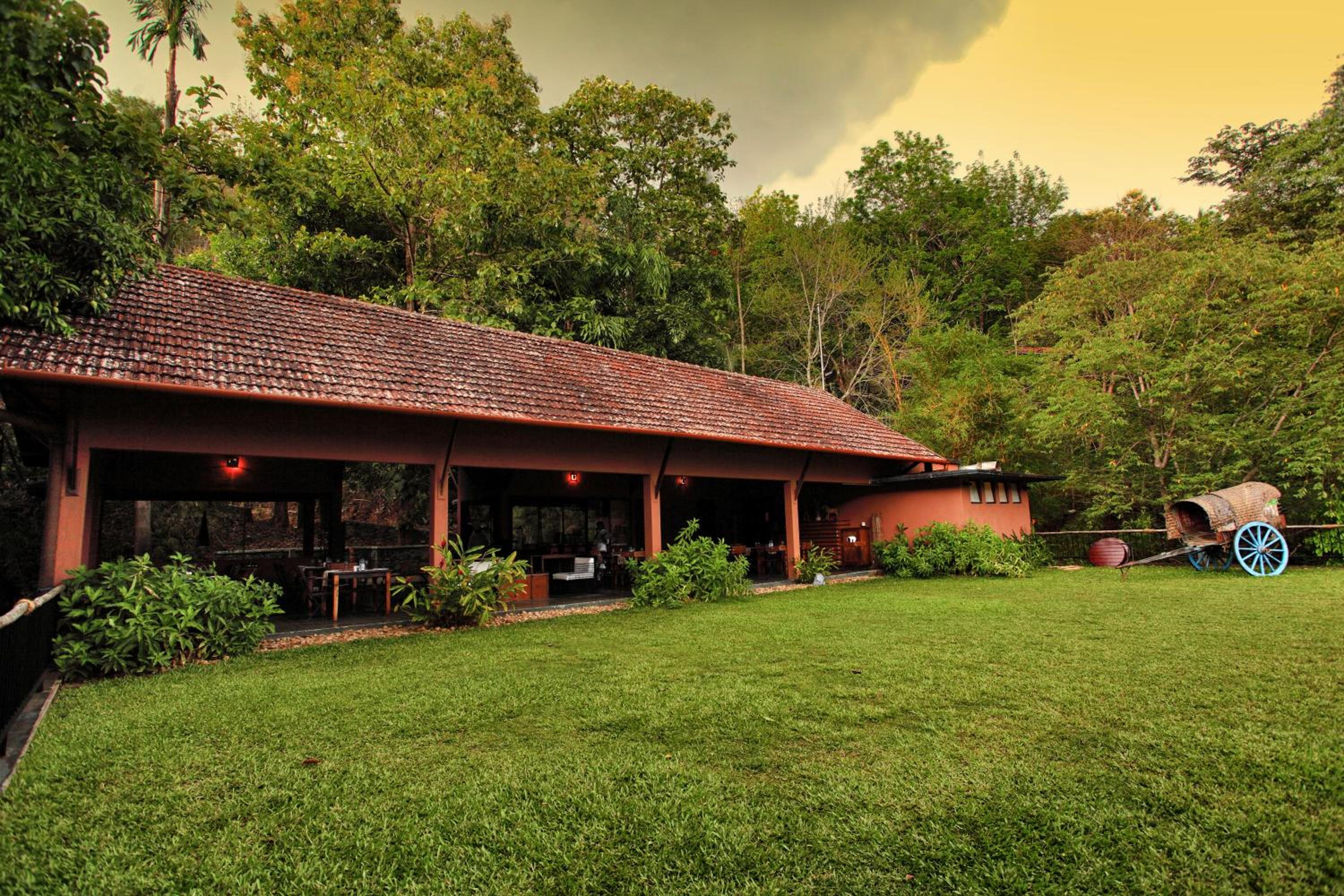 Rainforest Resort