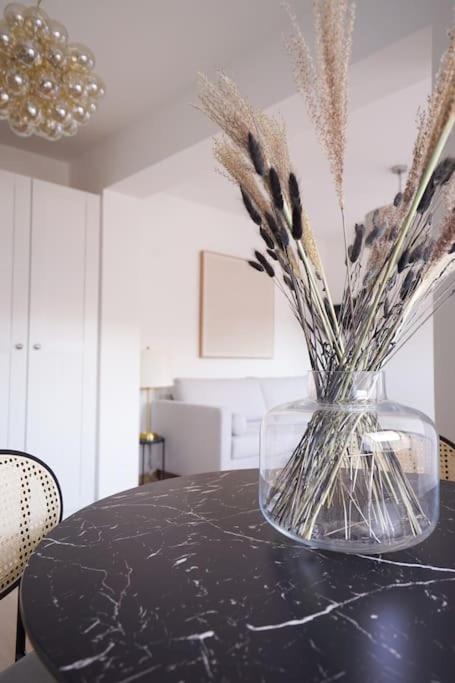 Astonishing Studio in the heart of Vienna