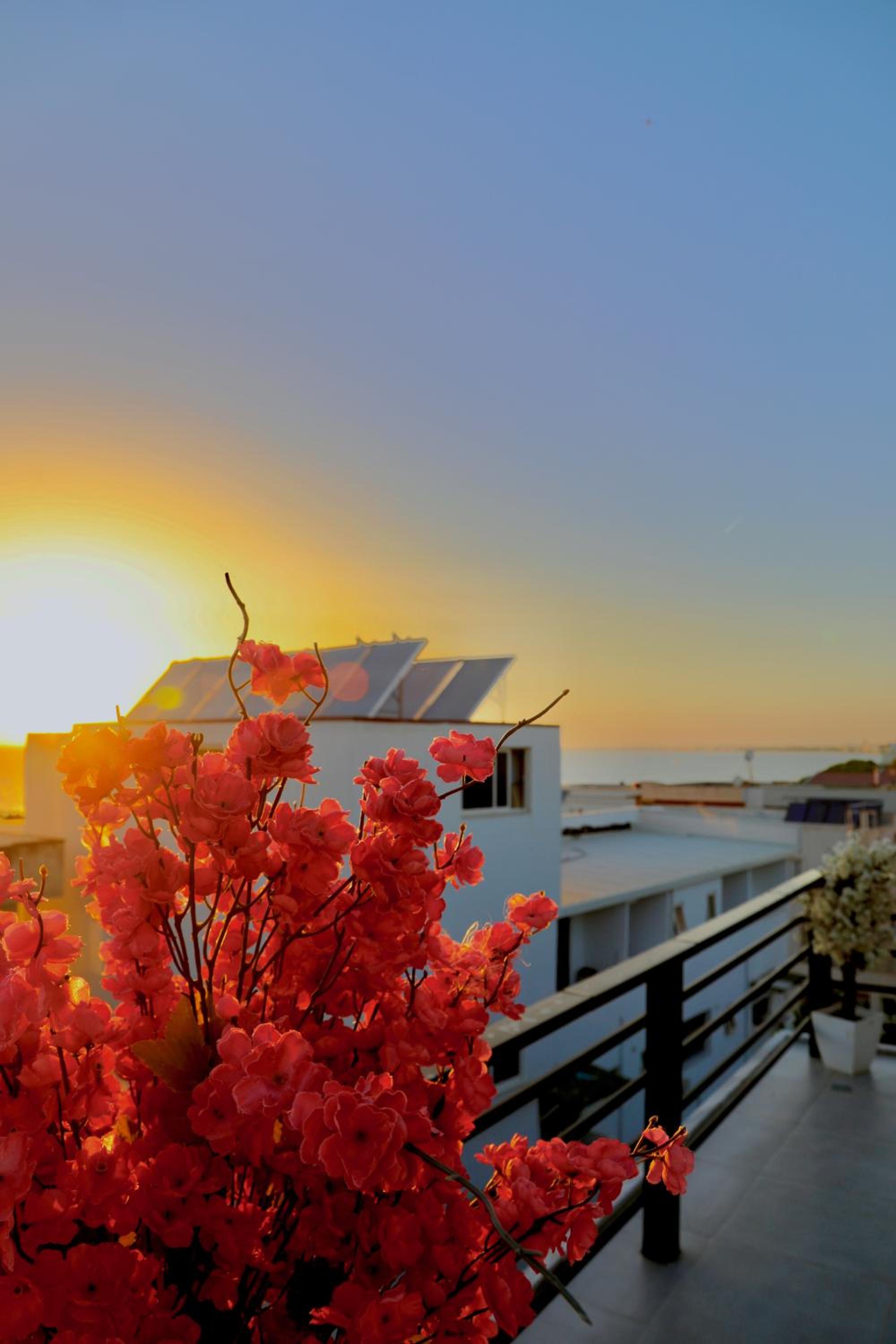 Sea View Apartments
