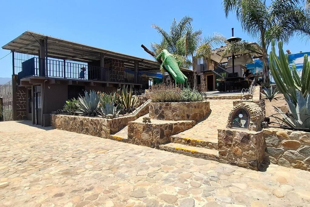 Oasis