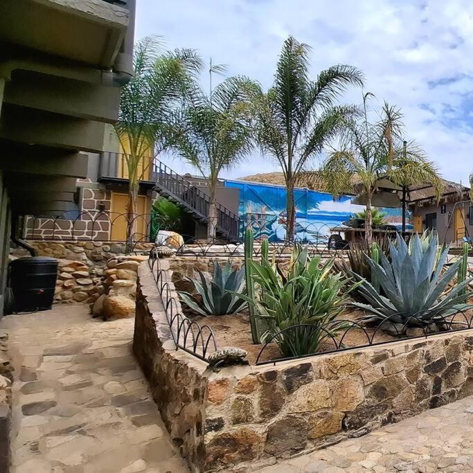Oasis