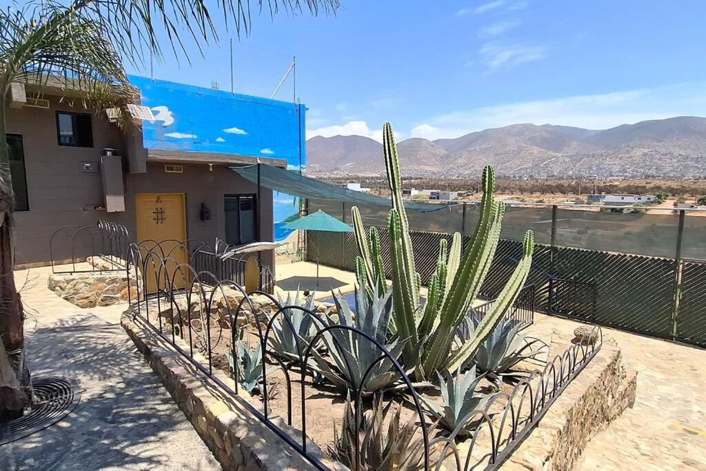 Oasis