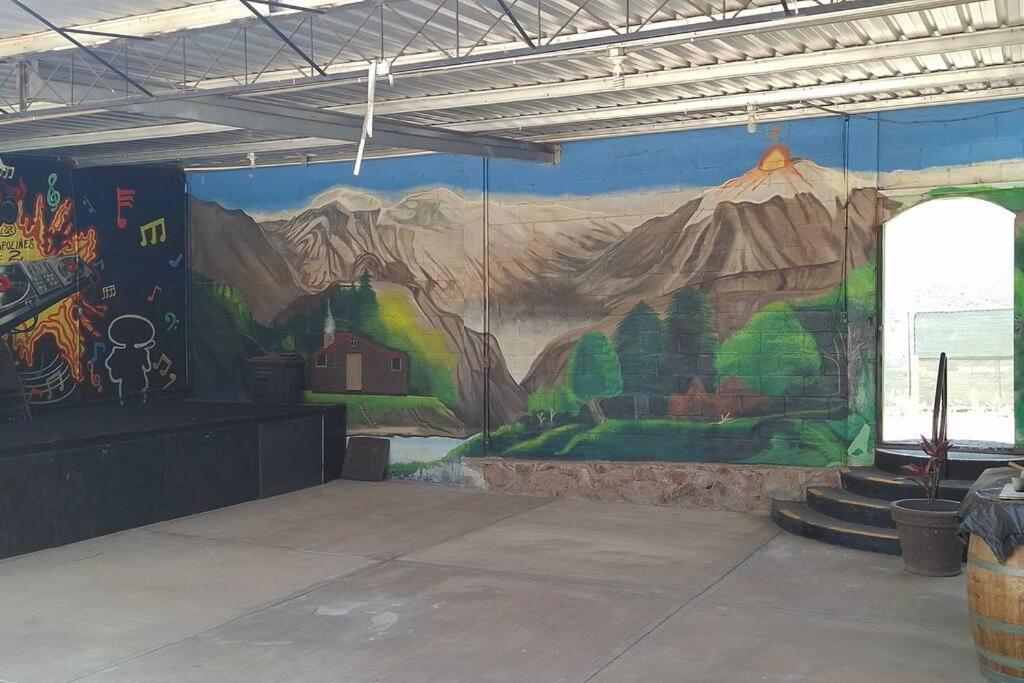 Oasis