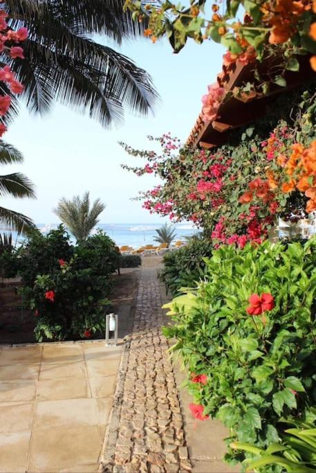 Oceanfront Apt 25 Porto Antigo II