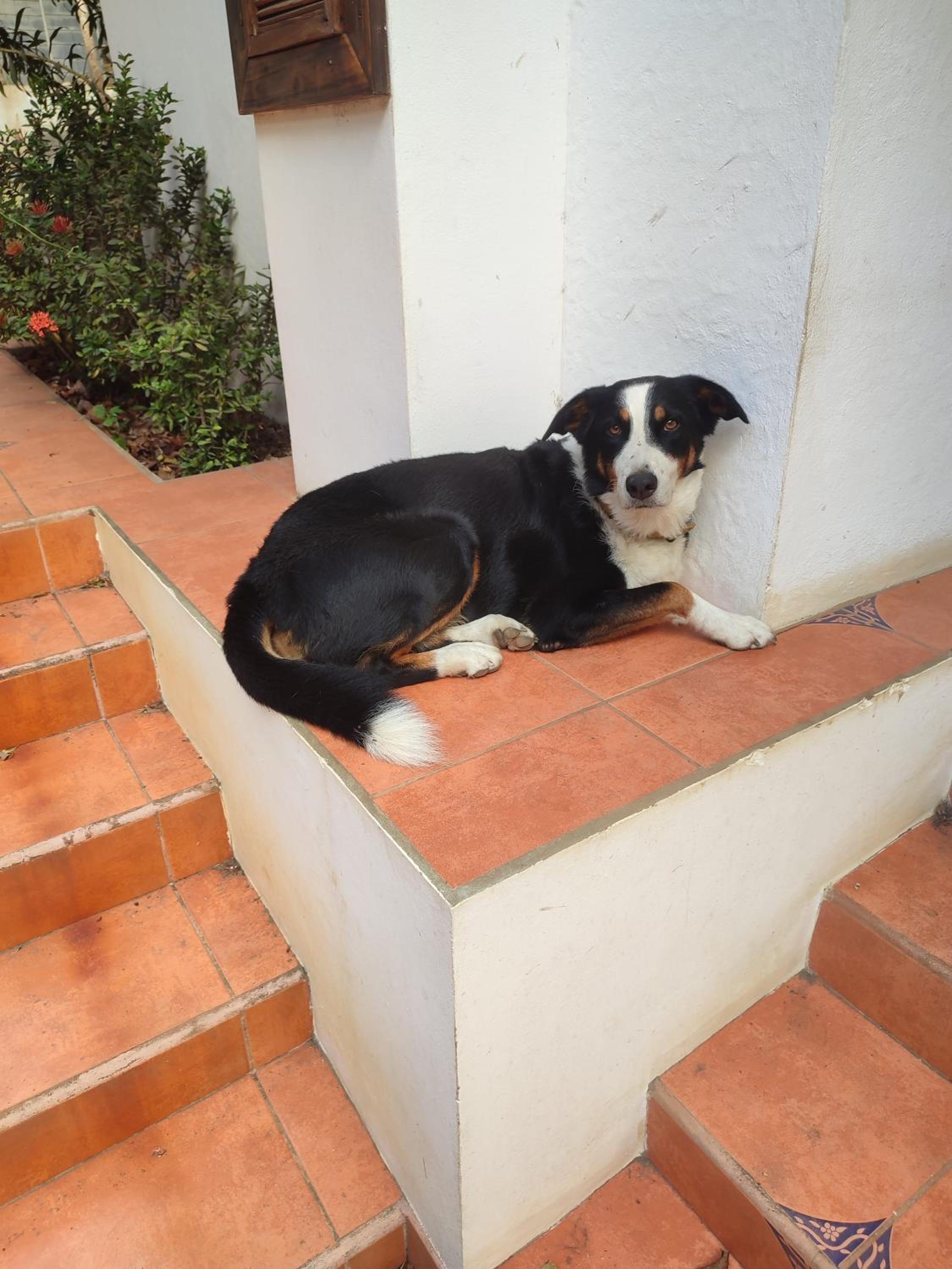 Photo 41