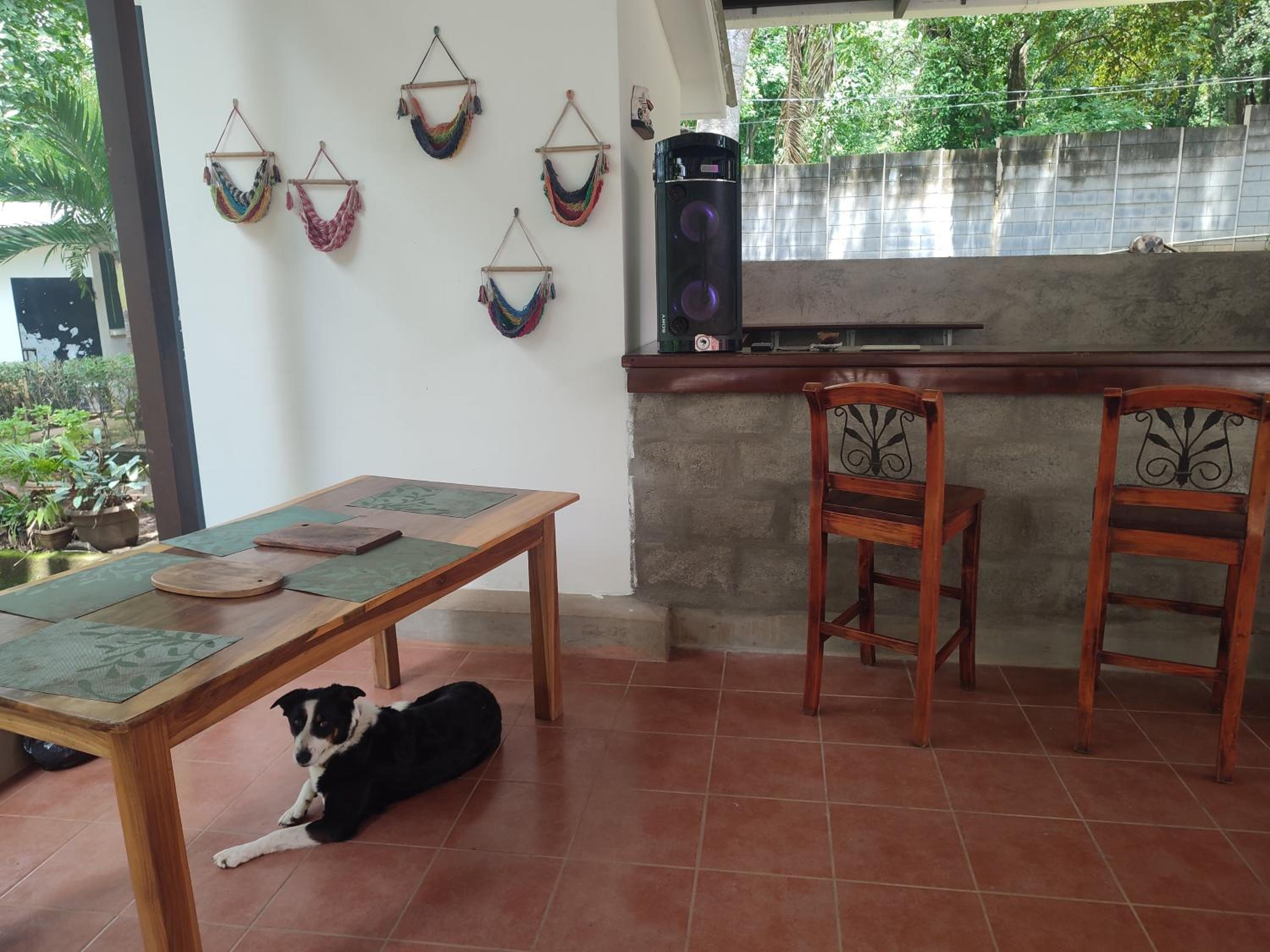 Photo 48
