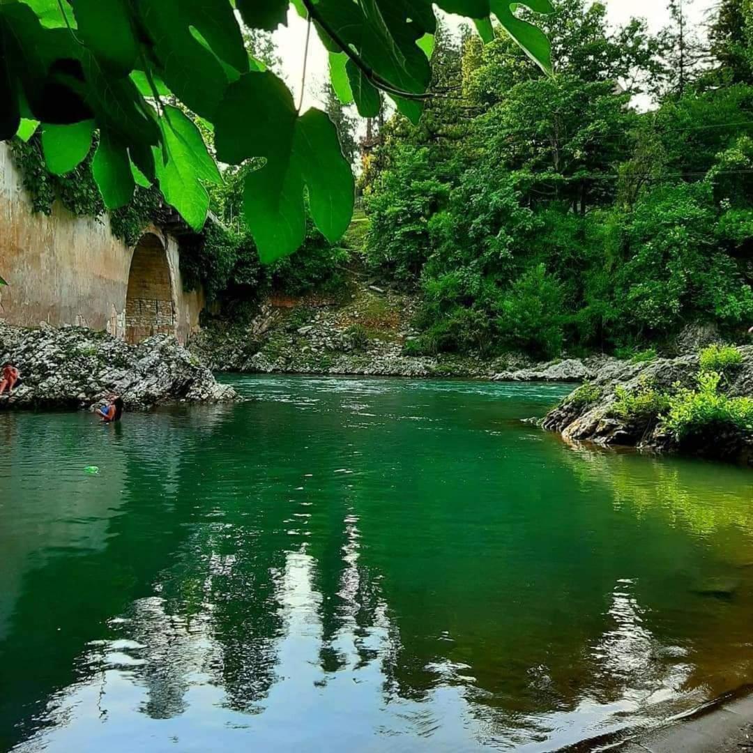 A house in nature