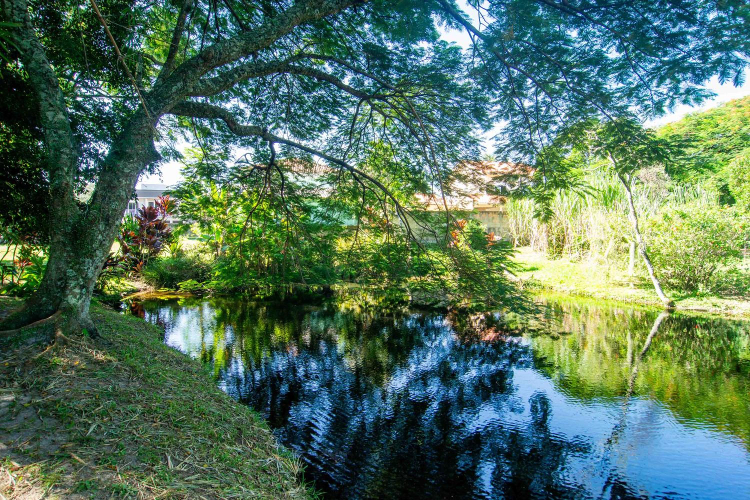 Casa de Campo na Cidade, Norte da Ilha WT8067