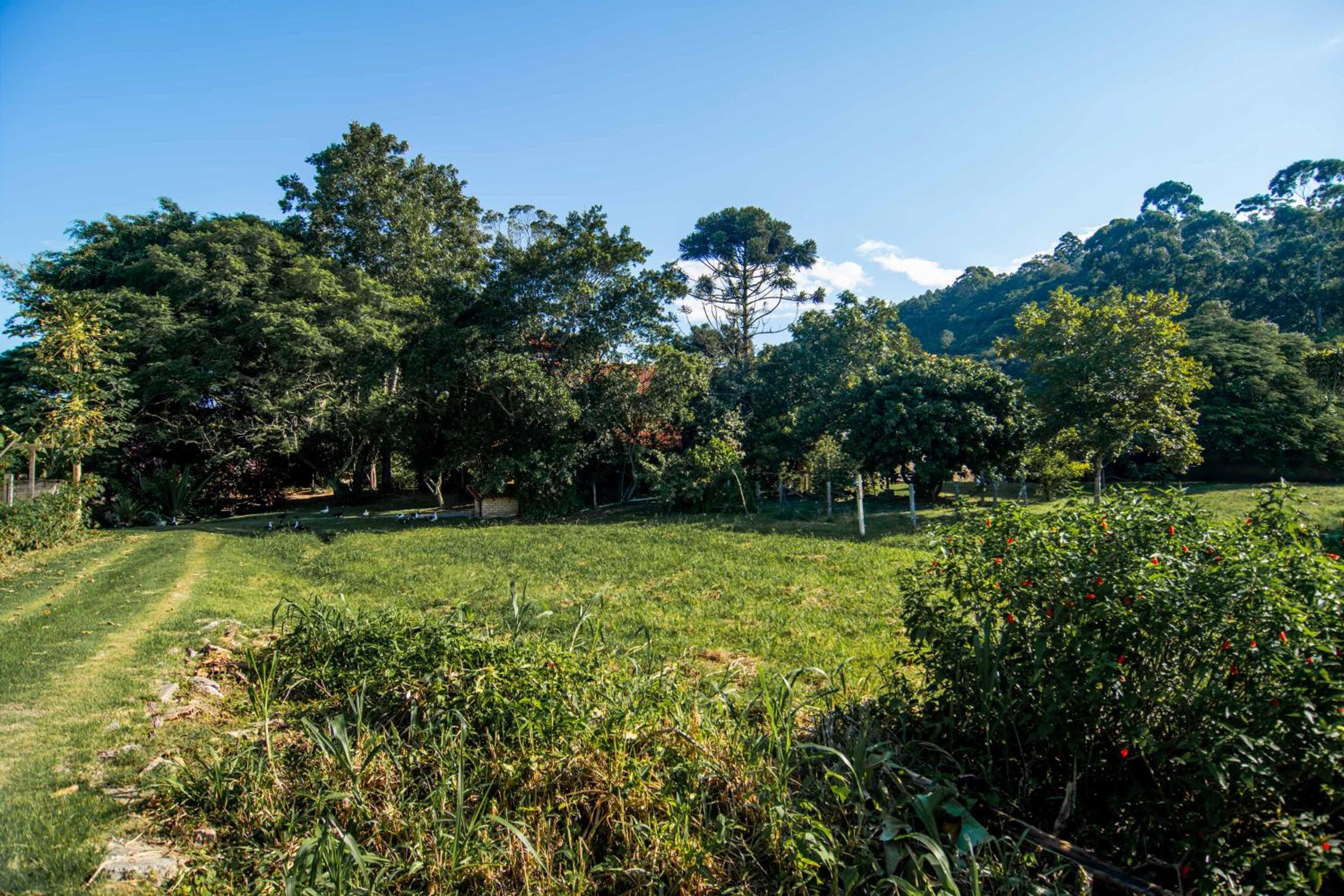 Casa de Campo na Cidade, Norte da Ilha WT8067