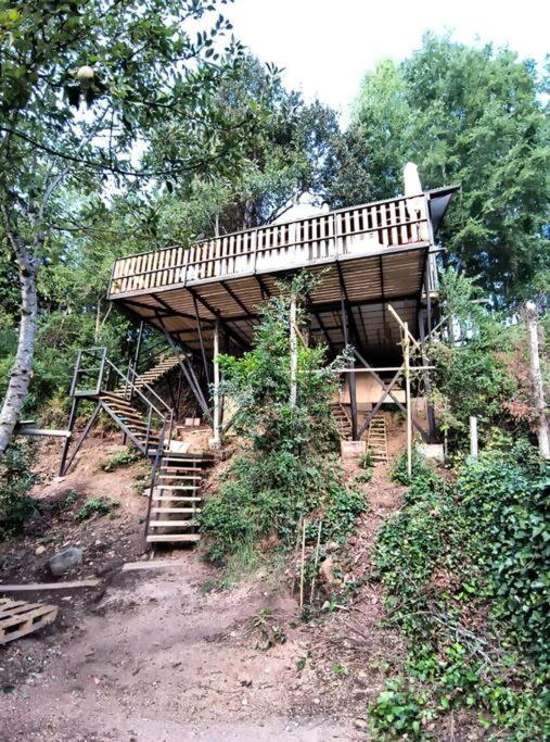 Casa de arbol en Molco Pucon