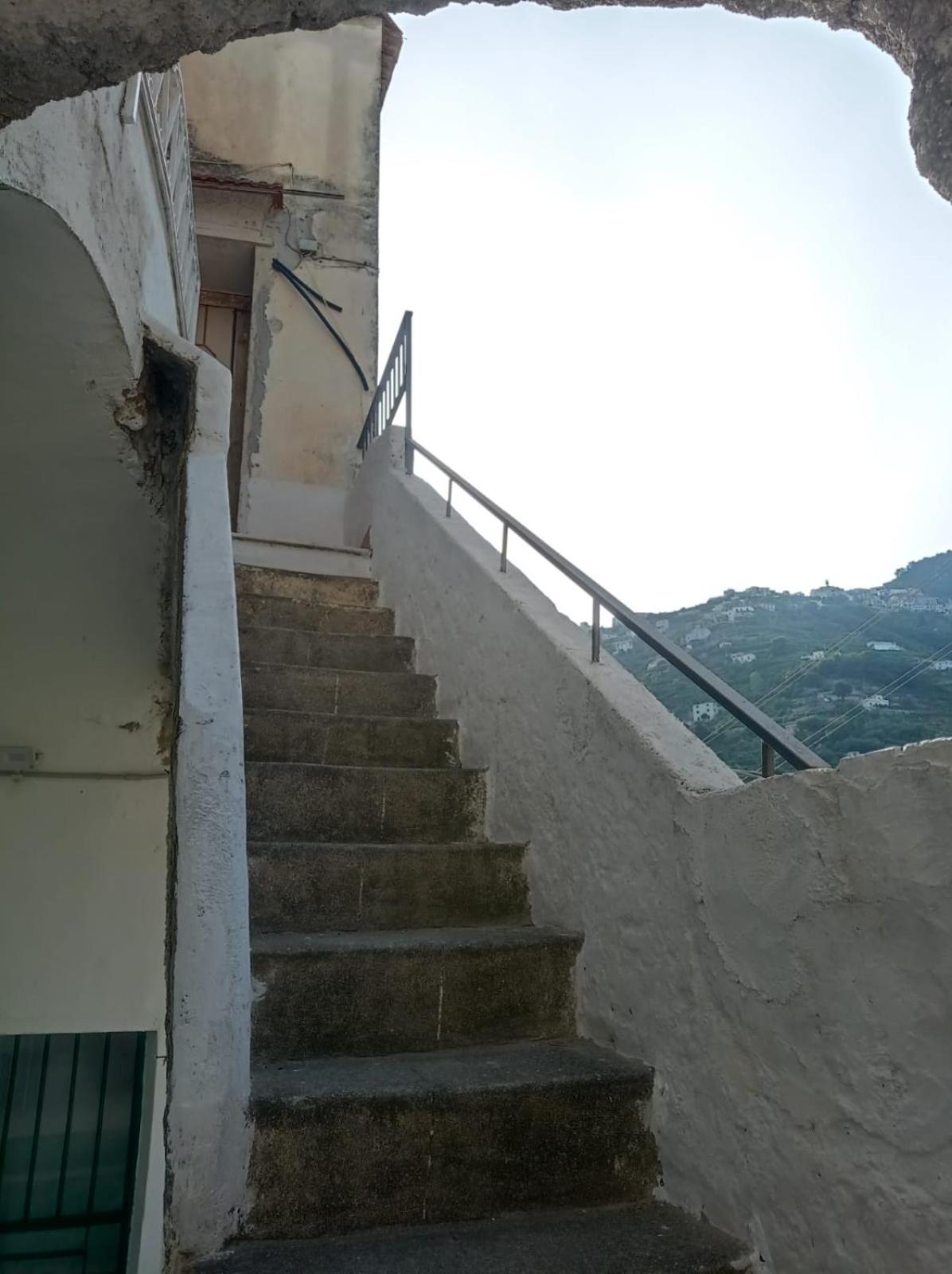 Ninfea apartment