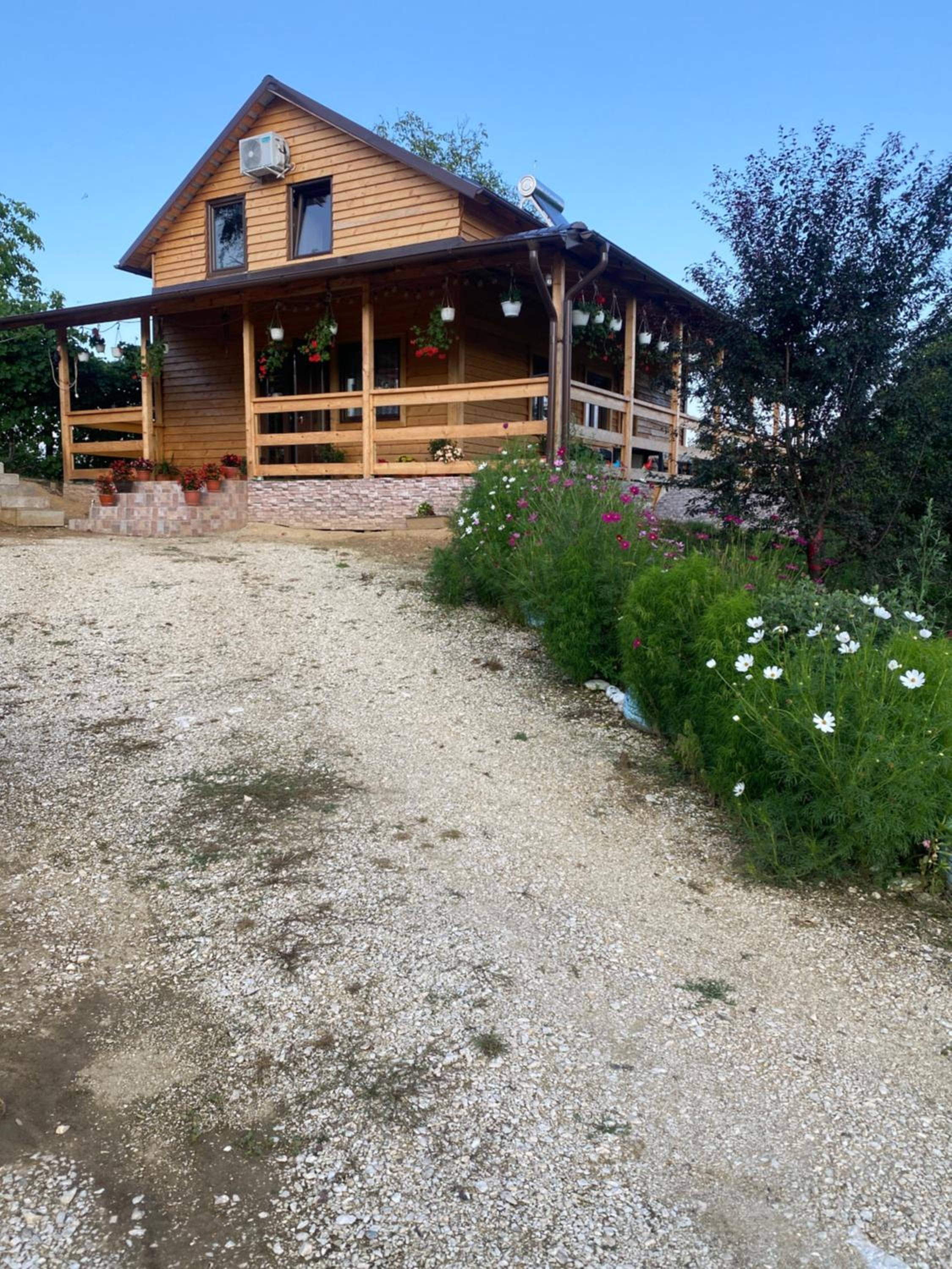 Cabana Șerban view 4