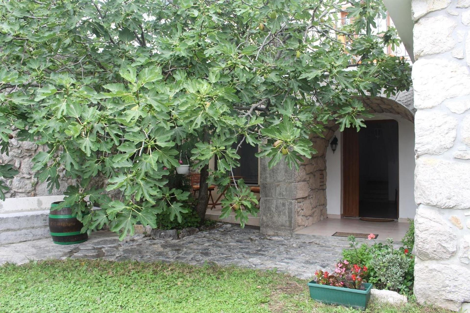 Ferienhaus für 6 Personen ca 140 qm in Grižane, Kvarner Bucht Crikvenica und Umgebung view 3