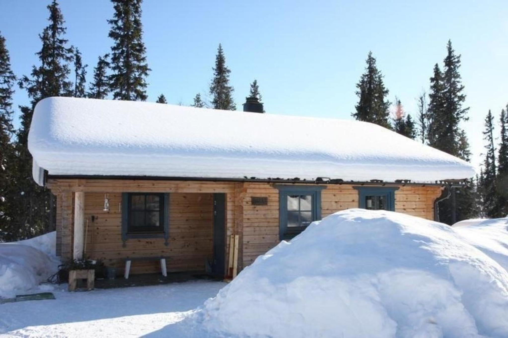 Gemütliches Blockhaus mit Kamin im Oviksfjäll