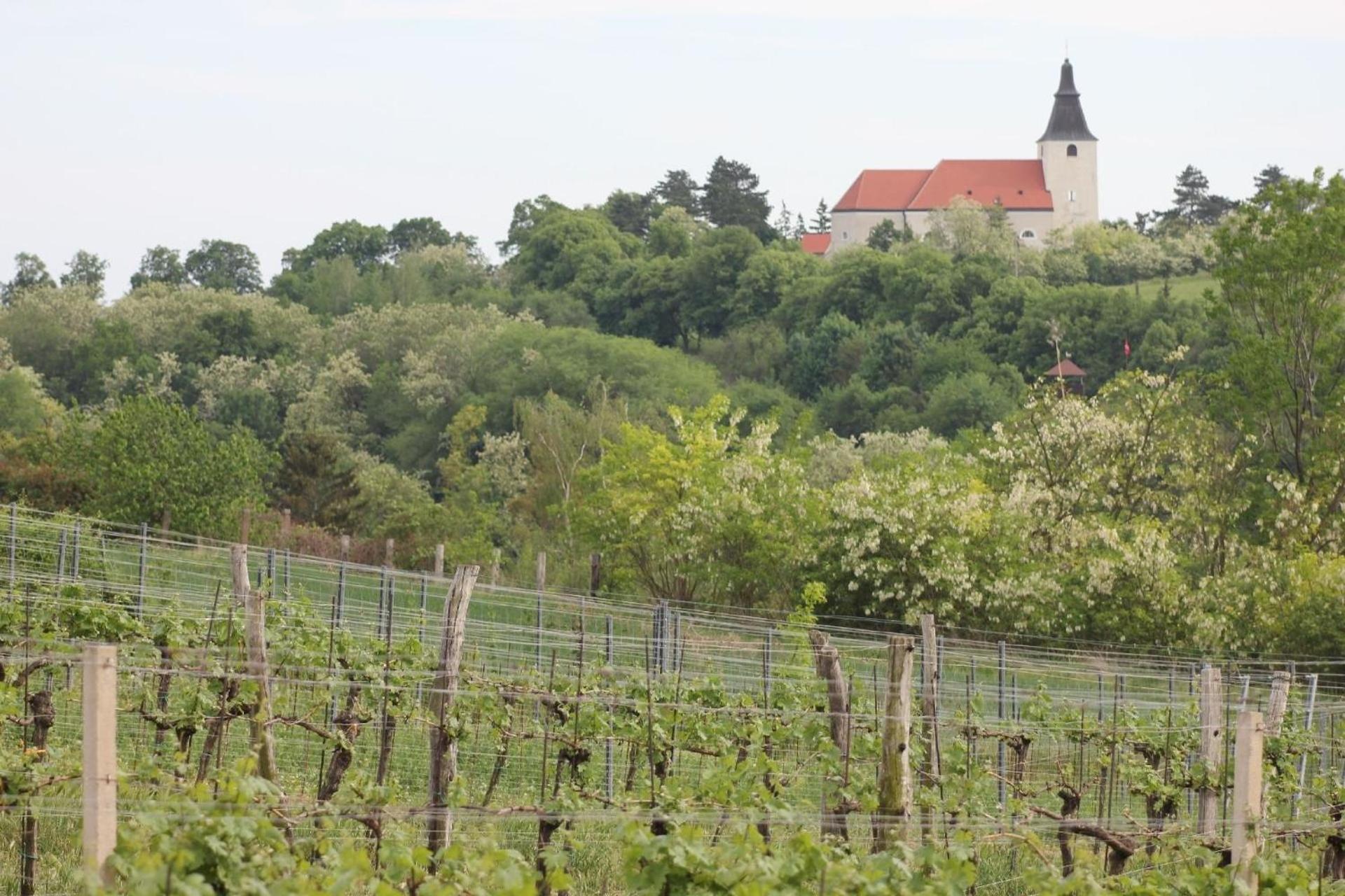 Ferienhaus In Angern An Der March