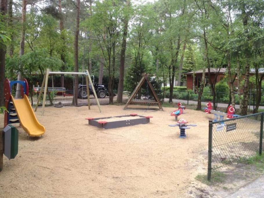 Photo 8