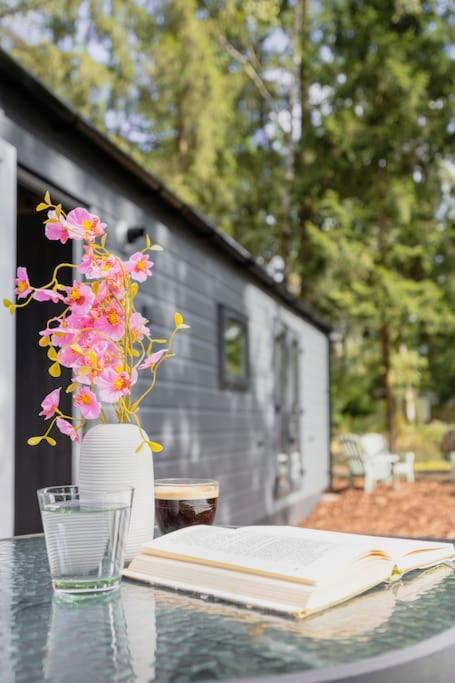 Schitterend chalet in het bos view 2