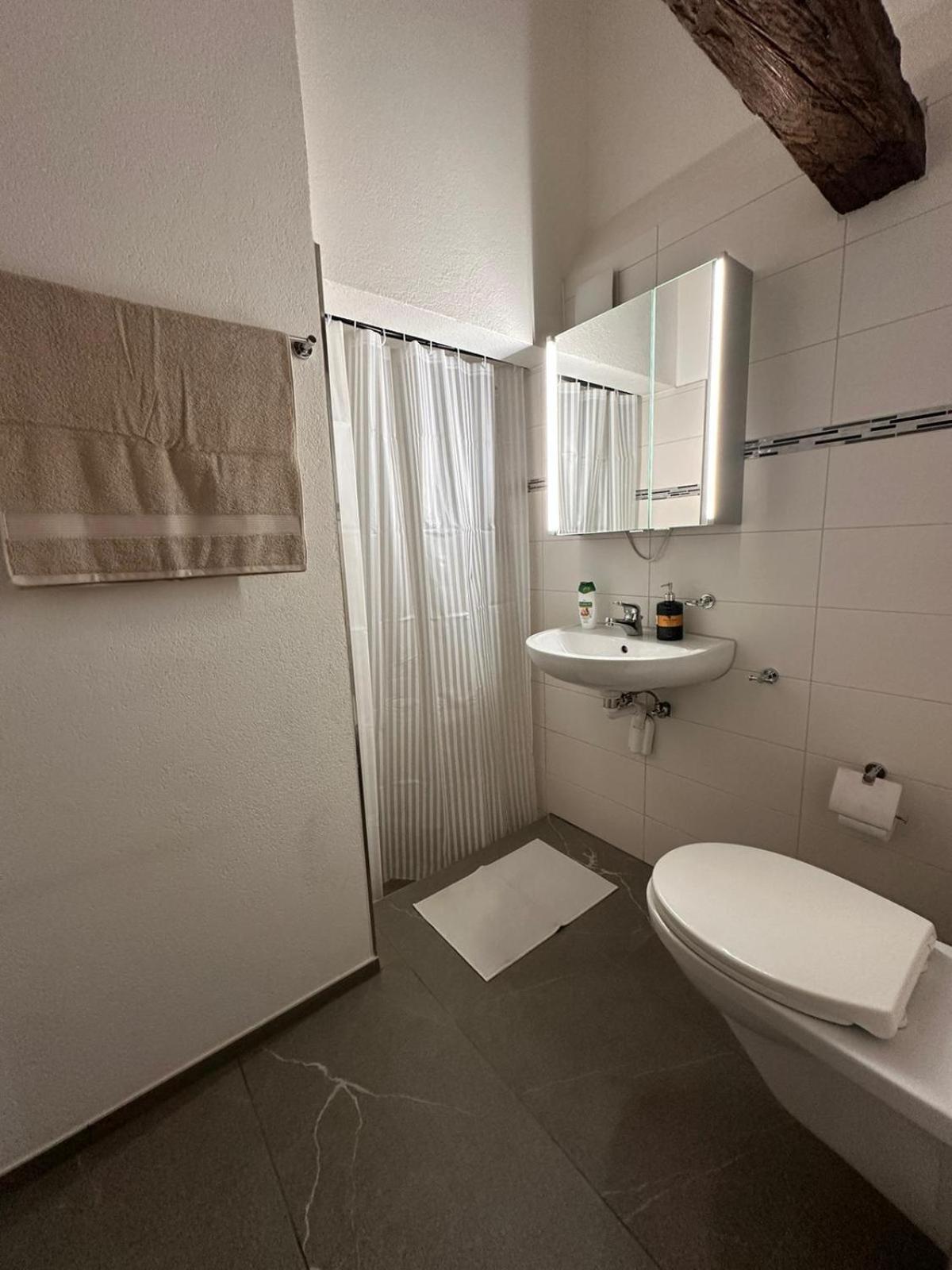 Ferienregion Andermatt - Wohnung in Wassen