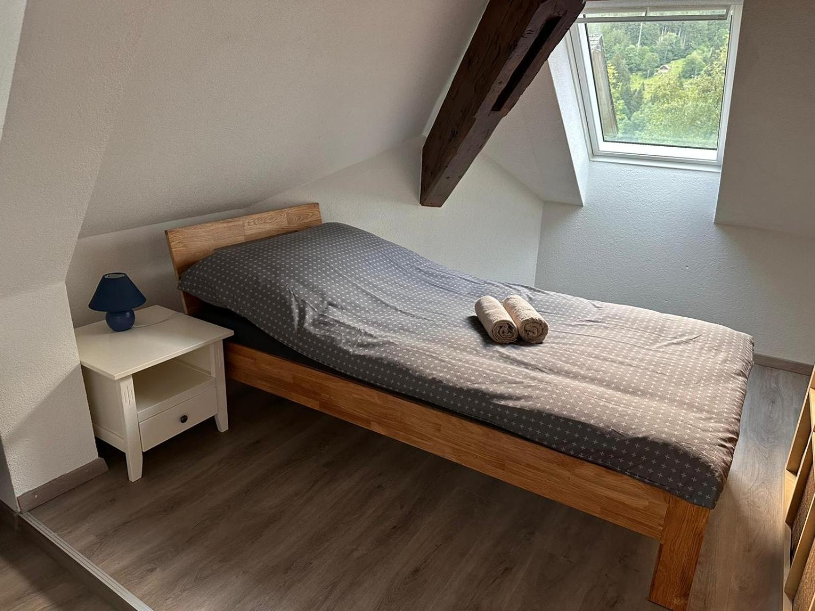 Ferienregion Andermatt - Wohnung in Wassen