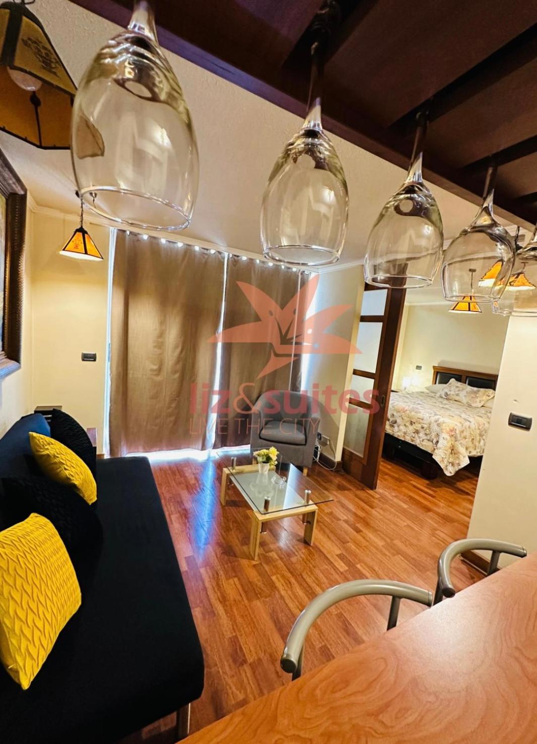 Studio cómodo y acogedor en el centro de Providencia