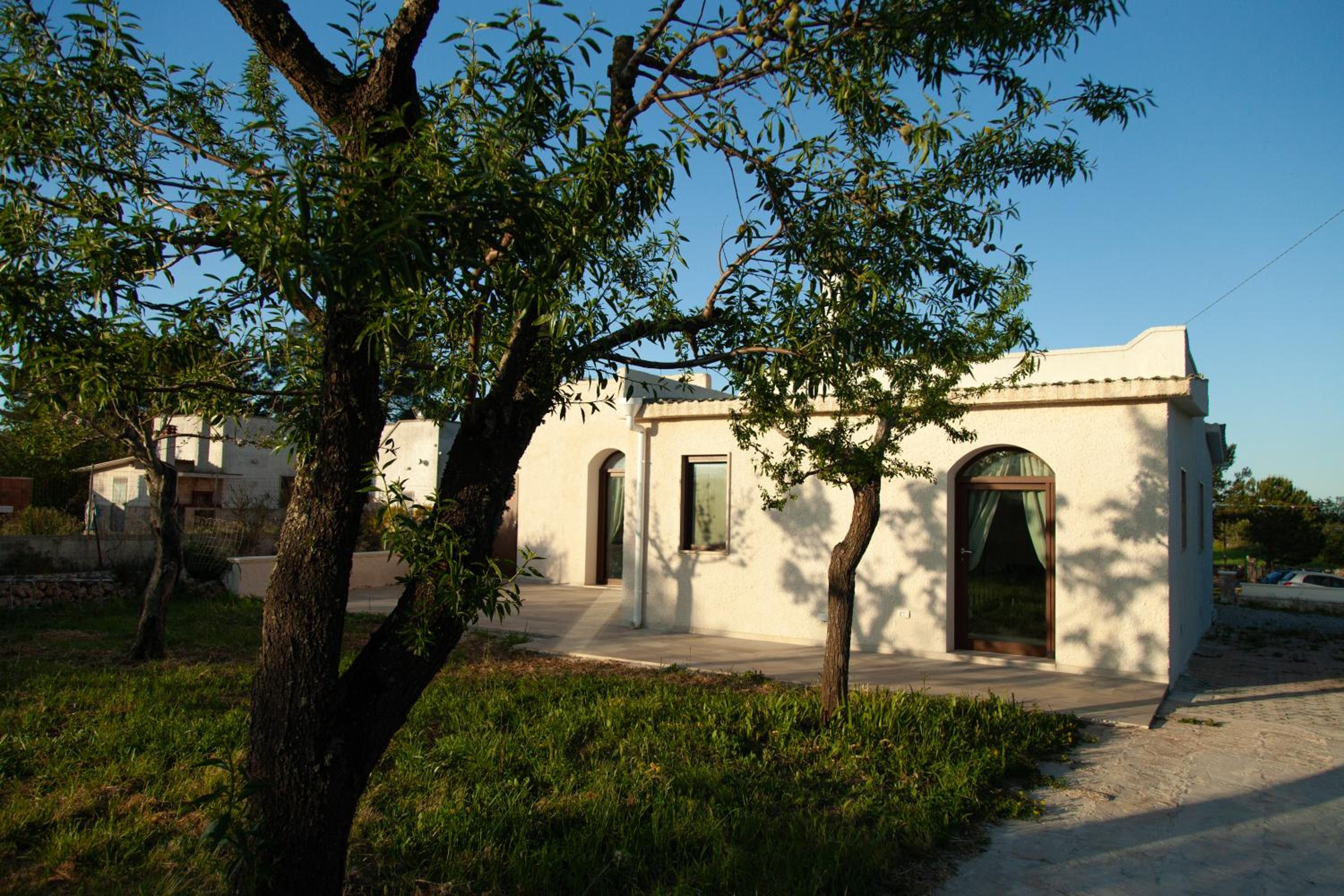 Photo 31