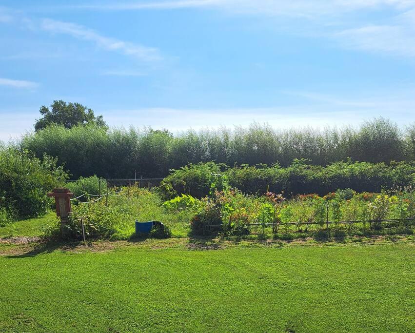 Photo 32