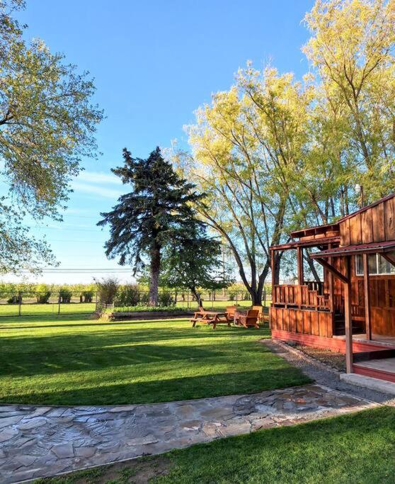Unique, Private Cabin Oasis view 4