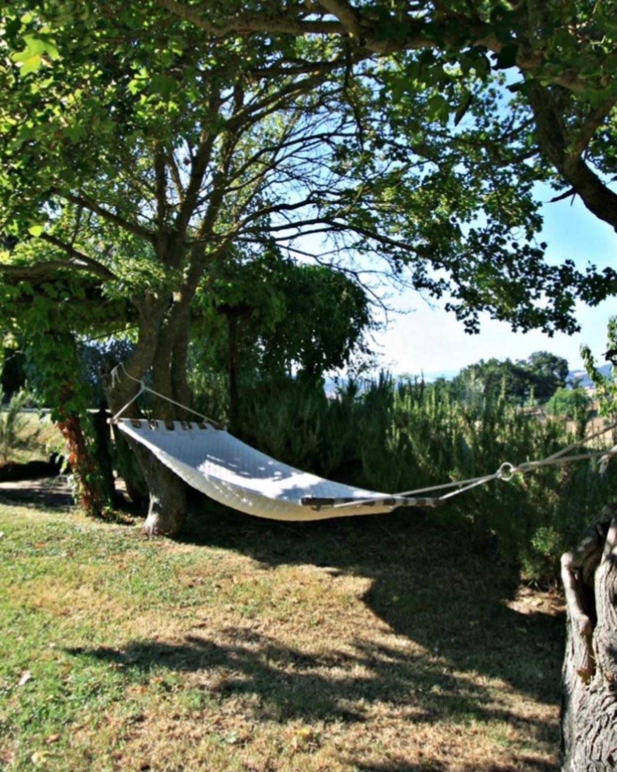Villa Luna