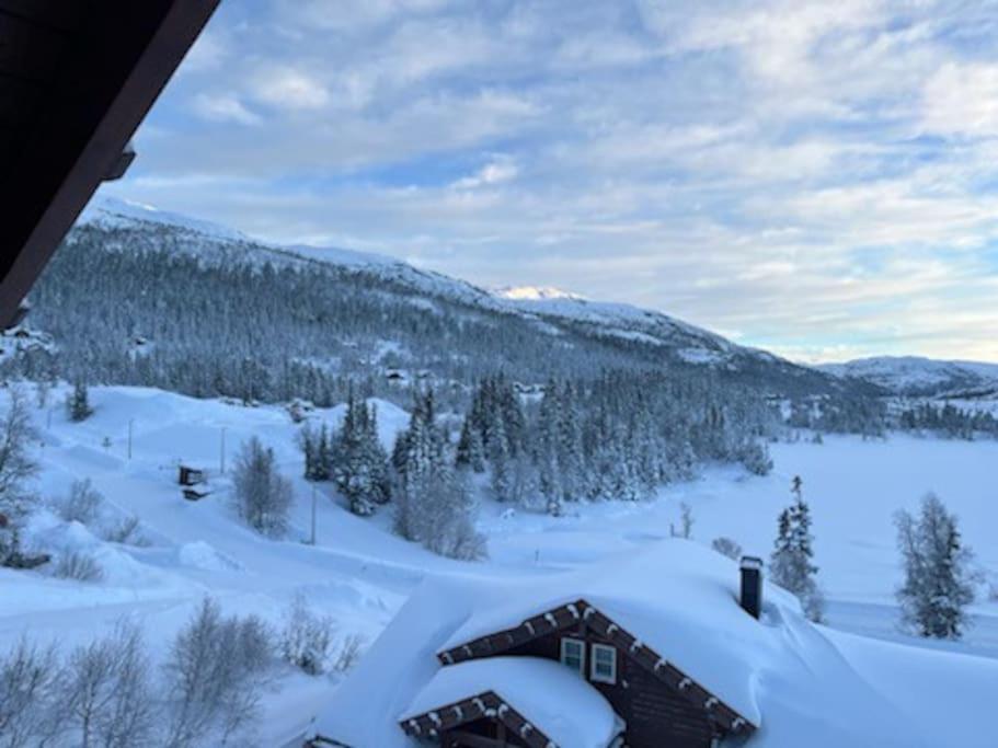 Hytte Gaustablikk