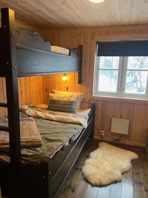 Hytte Gaustablikk