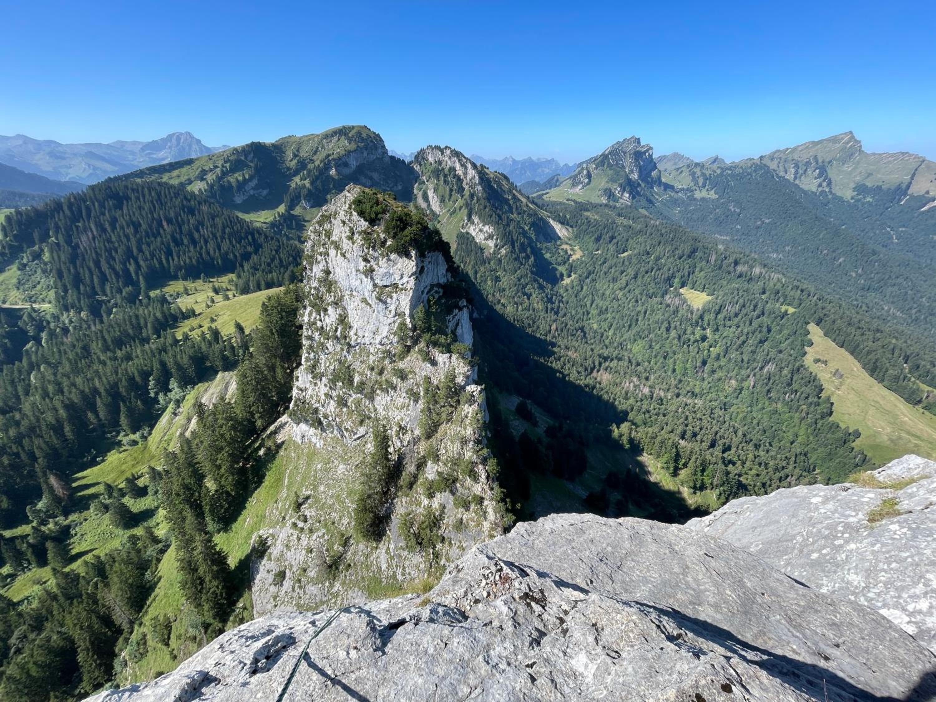 Blässchopfhüsli