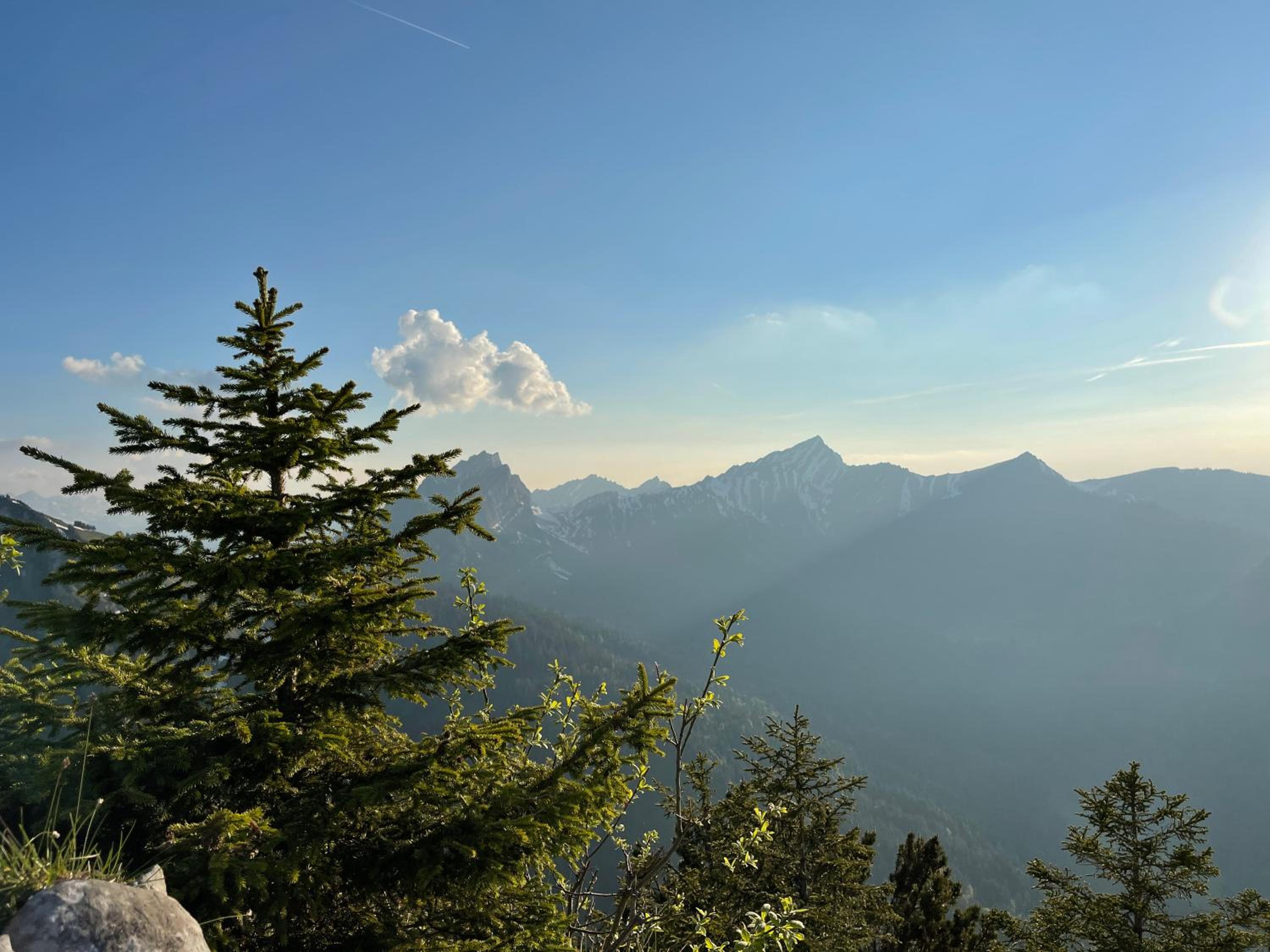 Blässchopfhüsli