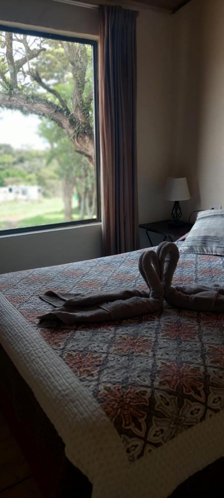 Twins palms family lodge