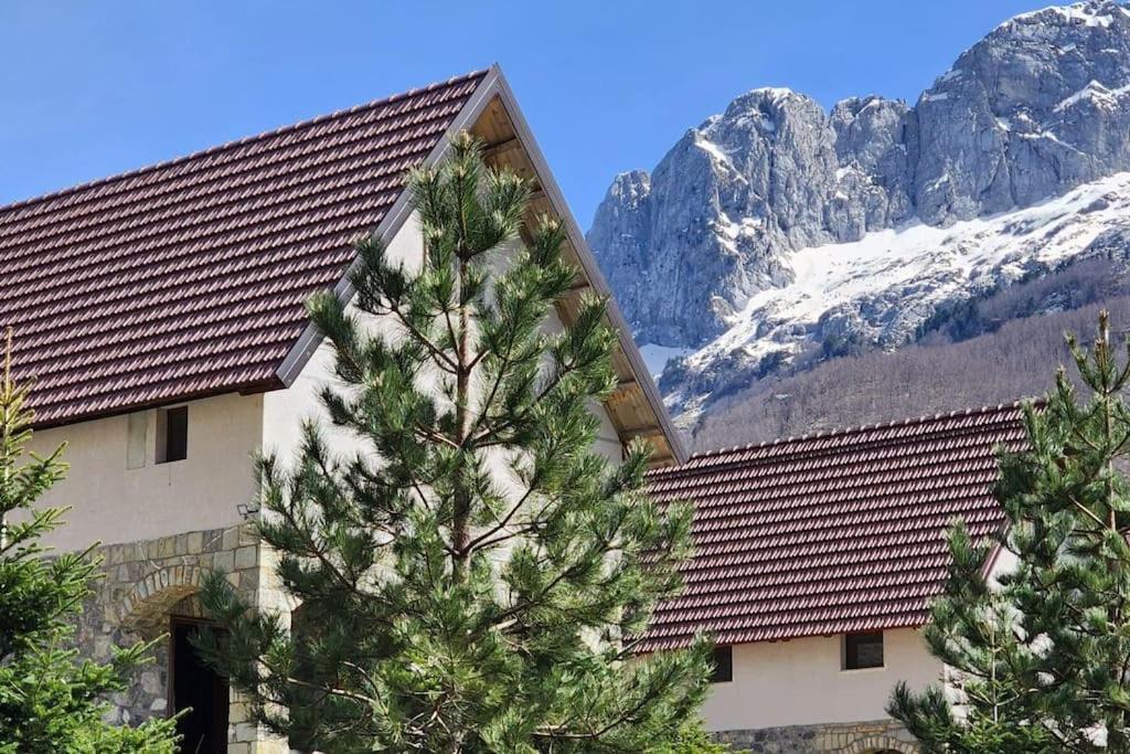 Oda e Arbërit photo 2