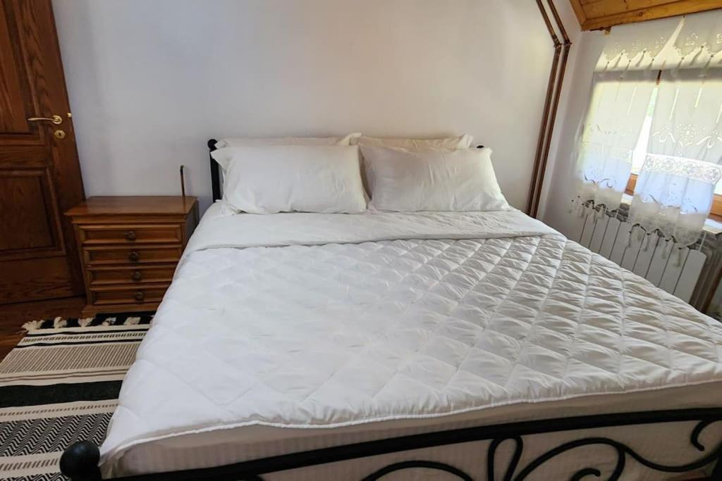 Oda e Arbërit photo 3