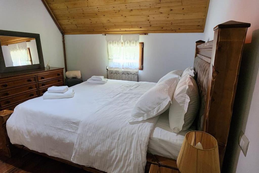 Oda e Arbërit photo 4